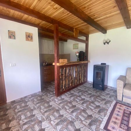 ホテル Casa Prundari Nicu Si Mirela Poiana Teiului エクステリア 写真