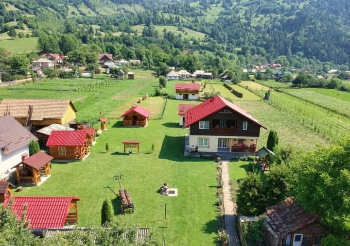ホテル Casa Prundari Nicu Si Mirela Poiana Teiului エクステリア 写真