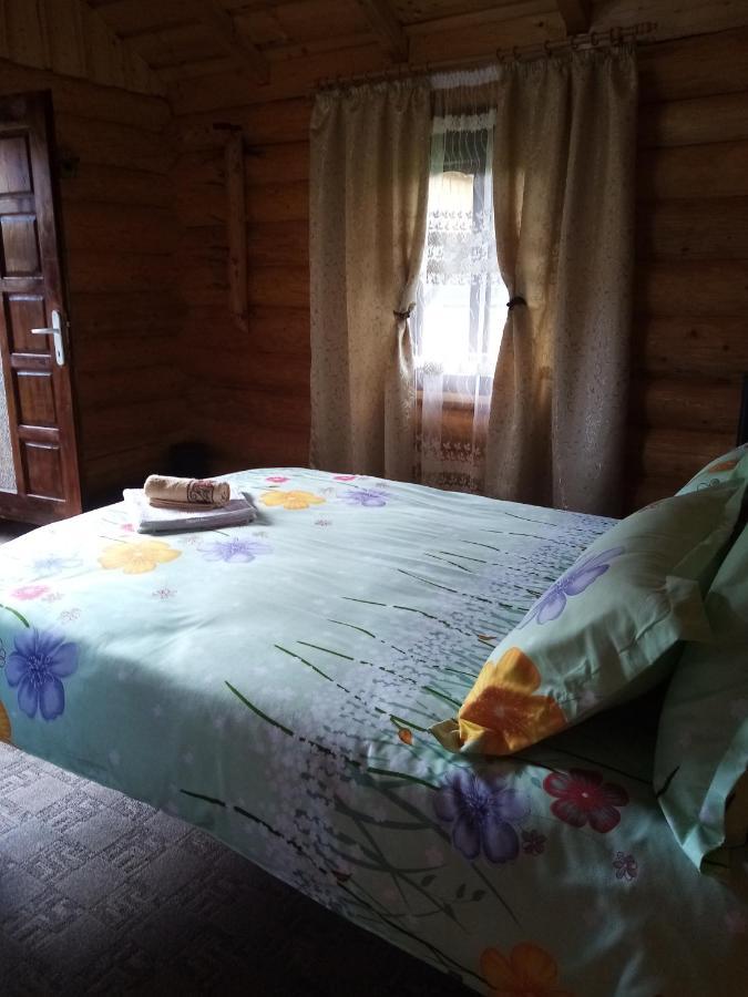 ホテル Casa Prundari Nicu Si Mirela Poiana Teiului エクステリア 写真