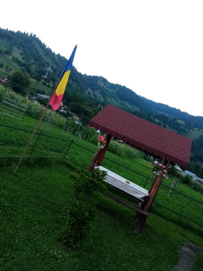 ホテル Casa Prundari Nicu Si Mirela Poiana Teiului エクステリア 写真