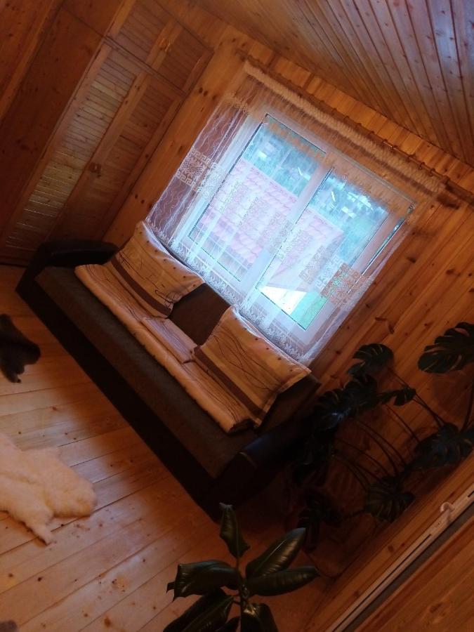ホテル Casa Prundari Nicu Si Mirela Poiana Teiului エクステリア 写真