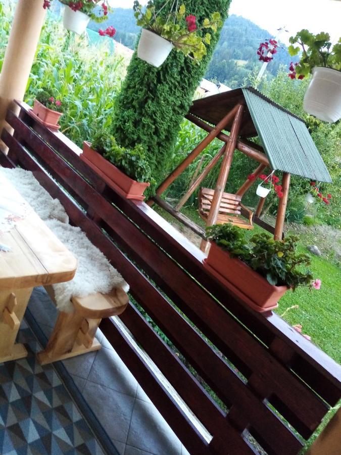 ホテル Casa Prundari Nicu Si Mirela Poiana Teiului エクステリア 写真