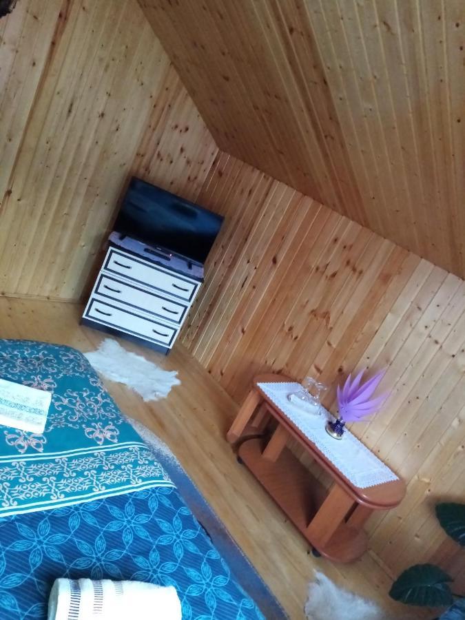ホテル Casa Prundari Nicu Si Mirela Poiana Teiului エクステリア 写真