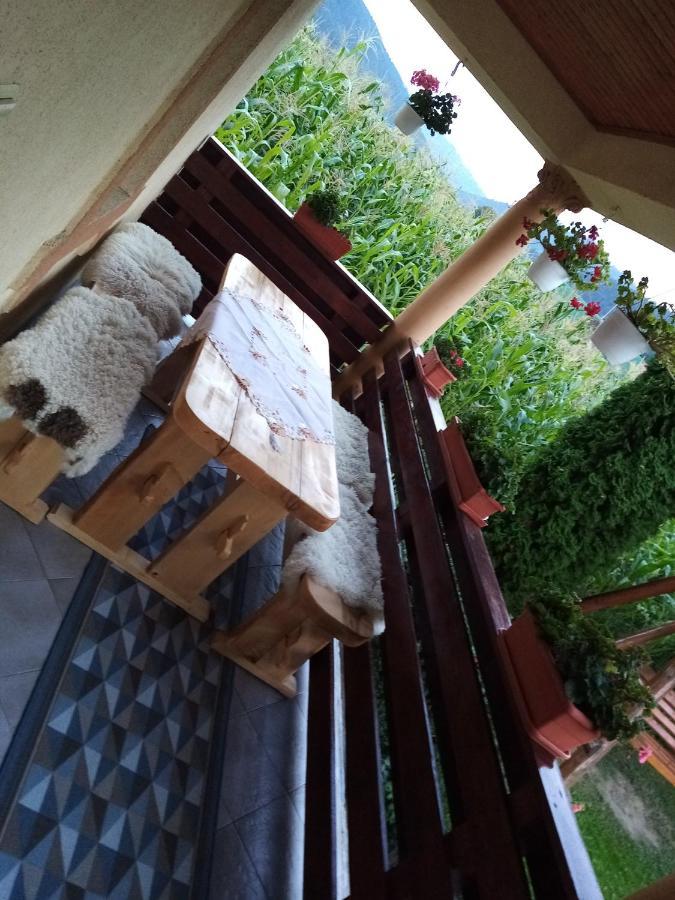 ホテル Casa Prundari Nicu Si Mirela Poiana Teiului エクステリア 写真