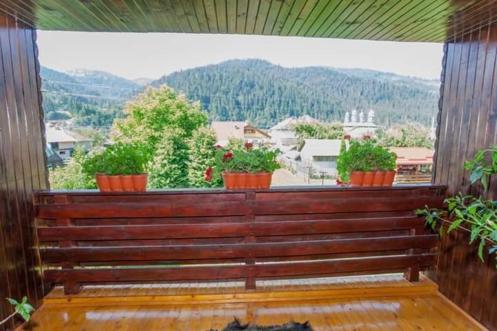 ホテル Casa Prundari Nicu Si Mirela Poiana Teiului エクステリア 写真