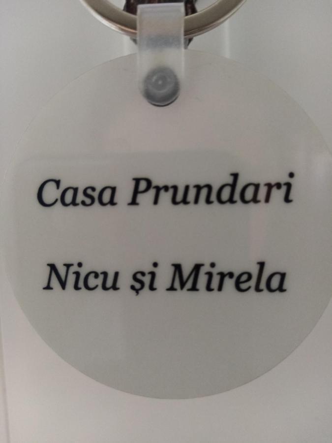 ホテル Casa Prundari Nicu Si Mirela Poiana Teiului エクステリア 写真