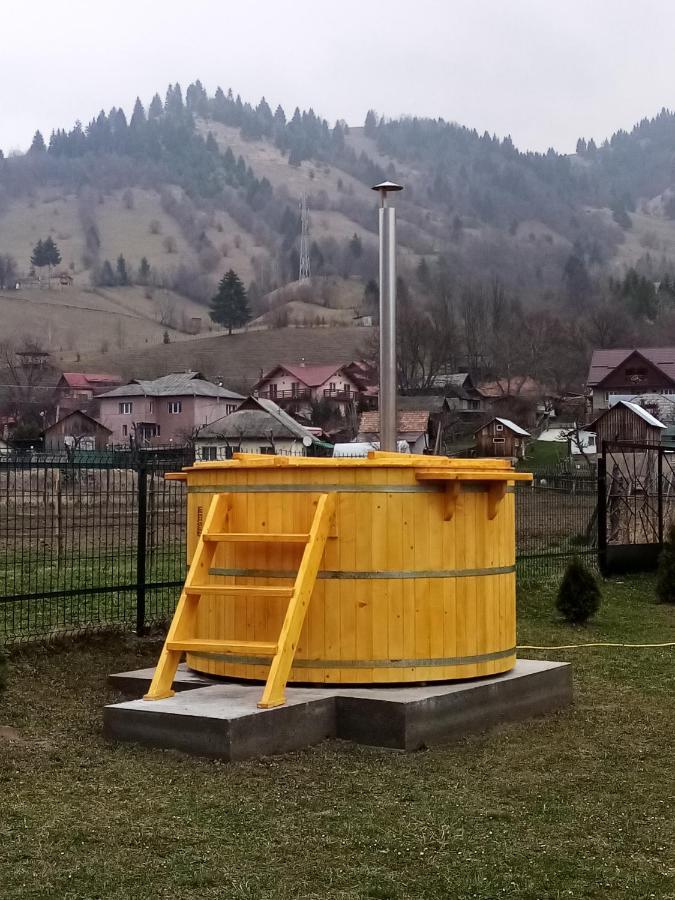 ホテル Casa Prundari Nicu Si Mirela Poiana Teiului エクステリア 写真