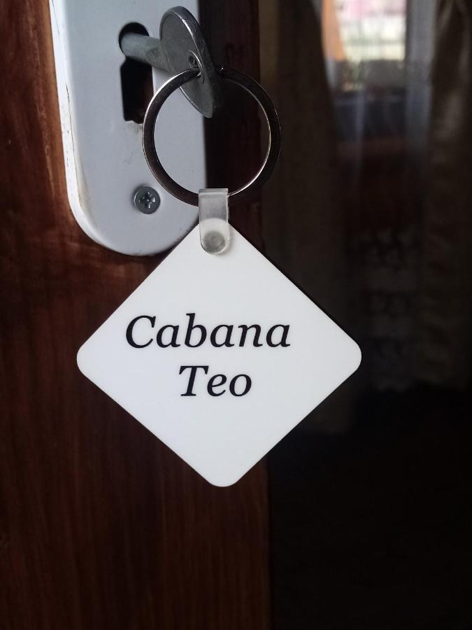 ホテル Casa Prundari Nicu Si Mirela Poiana Teiului エクステリア 写真