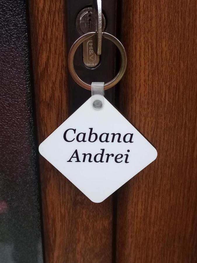 ホテル Casa Prundari Nicu Si Mirela Poiana Teiului エクステリア 写真