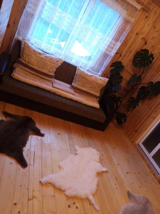 ホテル Casa Prundari Nicu Si Mirela Poiana Teiului 部屋 写真