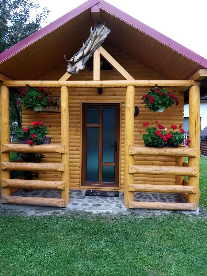 ホテル Casa Prundari Nicu Si Mirela Poiana Teiului エクステリア 写真