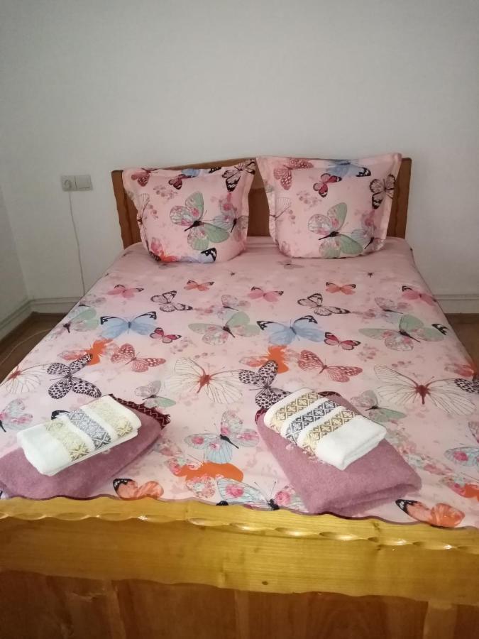 ホテル Casa Prundari Nicu Si Mirela Poiana Teiului エクステリア 写真