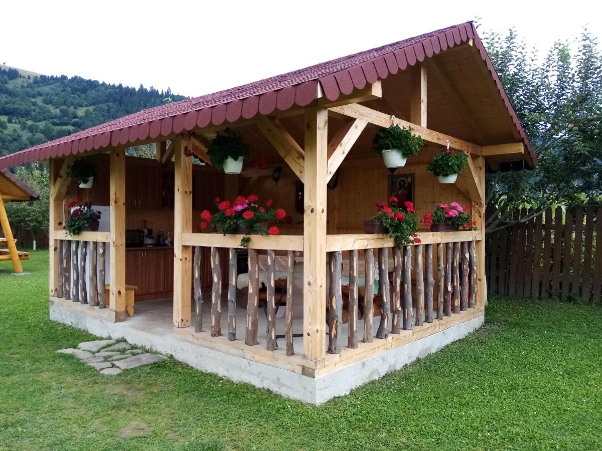 ホテル Casa Prundari Nicu Si Mirela Poiana Teiului エクステリア 写真