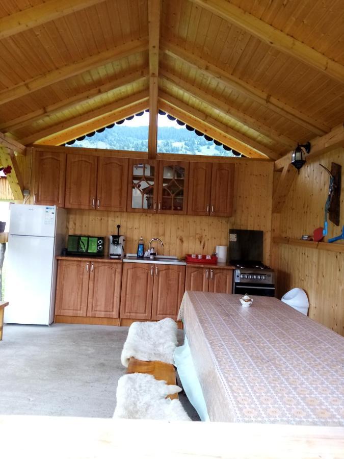 ホテル Casa Prundari Nicu Si Mirela Poiana Teiului エクステリア 写真