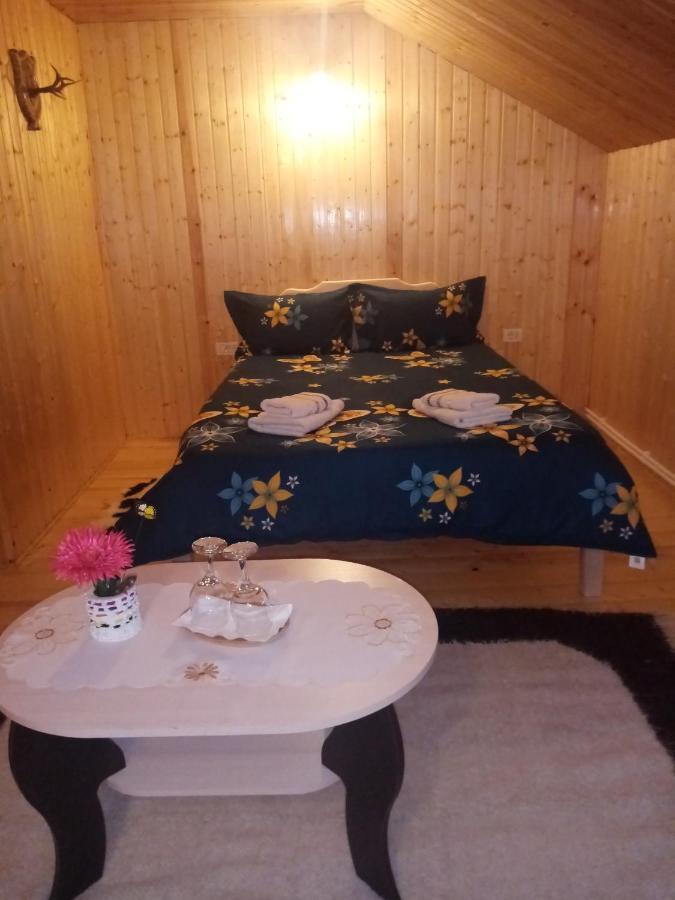 ホテル Casa Prundari Nicu Si Mirela Poiana Teiului エクステリア 写真