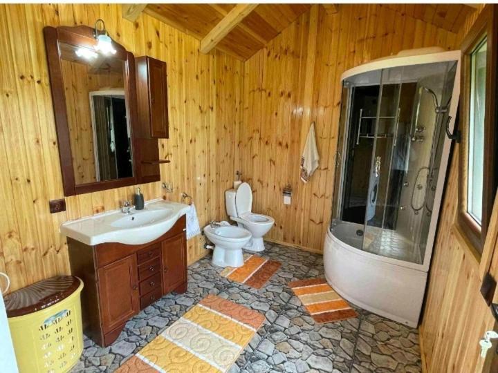 ホテル Casa Prundari Nicu Si Mirela Poiana Teiului 部屋 写真