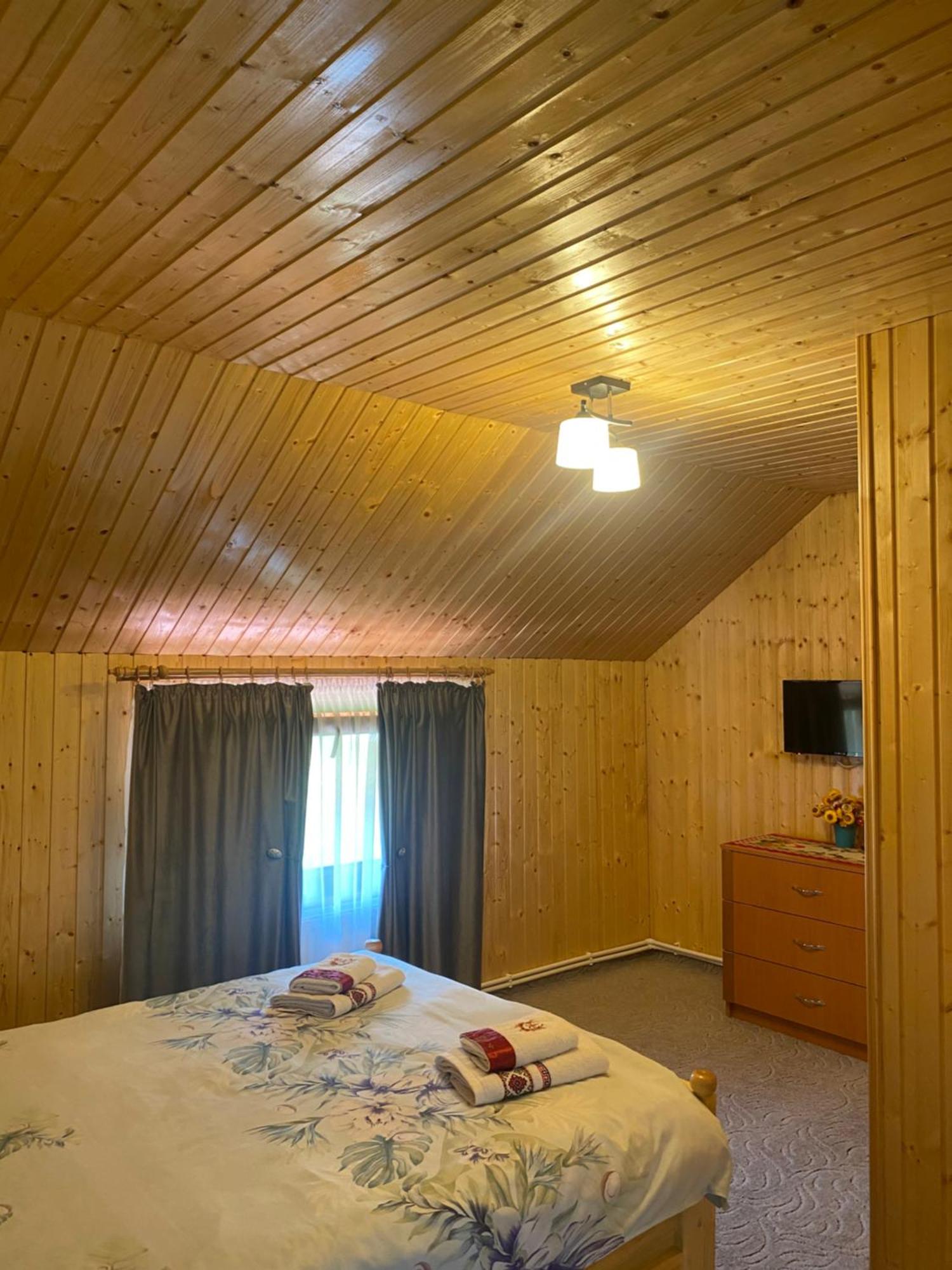 ホテル Casa Prundari Nicu Si Mirela Poiana Teiului エクステリア 写真