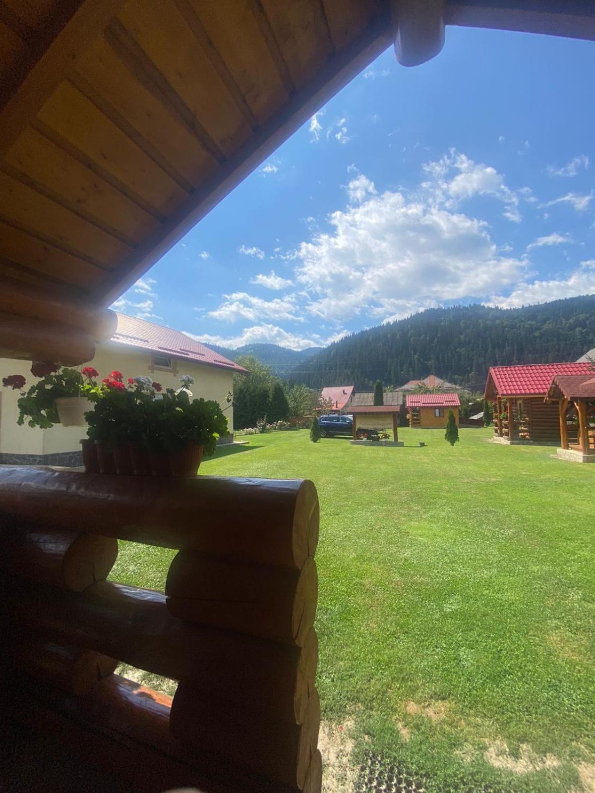 ホテル Casa Prundari Nicu Si Mirela Poiana Teiului エクステリア 写真