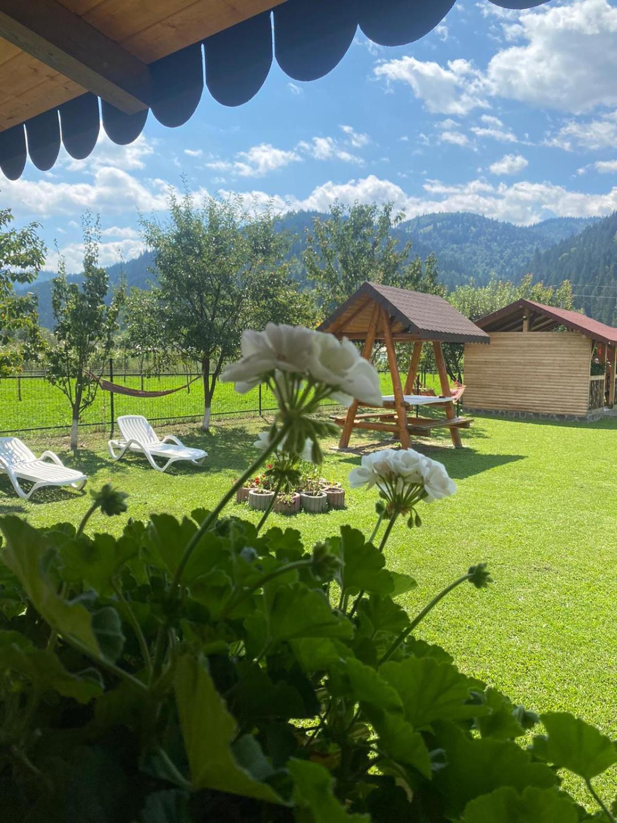 ホテル Casa Prundari Nicu Si Mirela Poiana Teiului エクステリア 写真